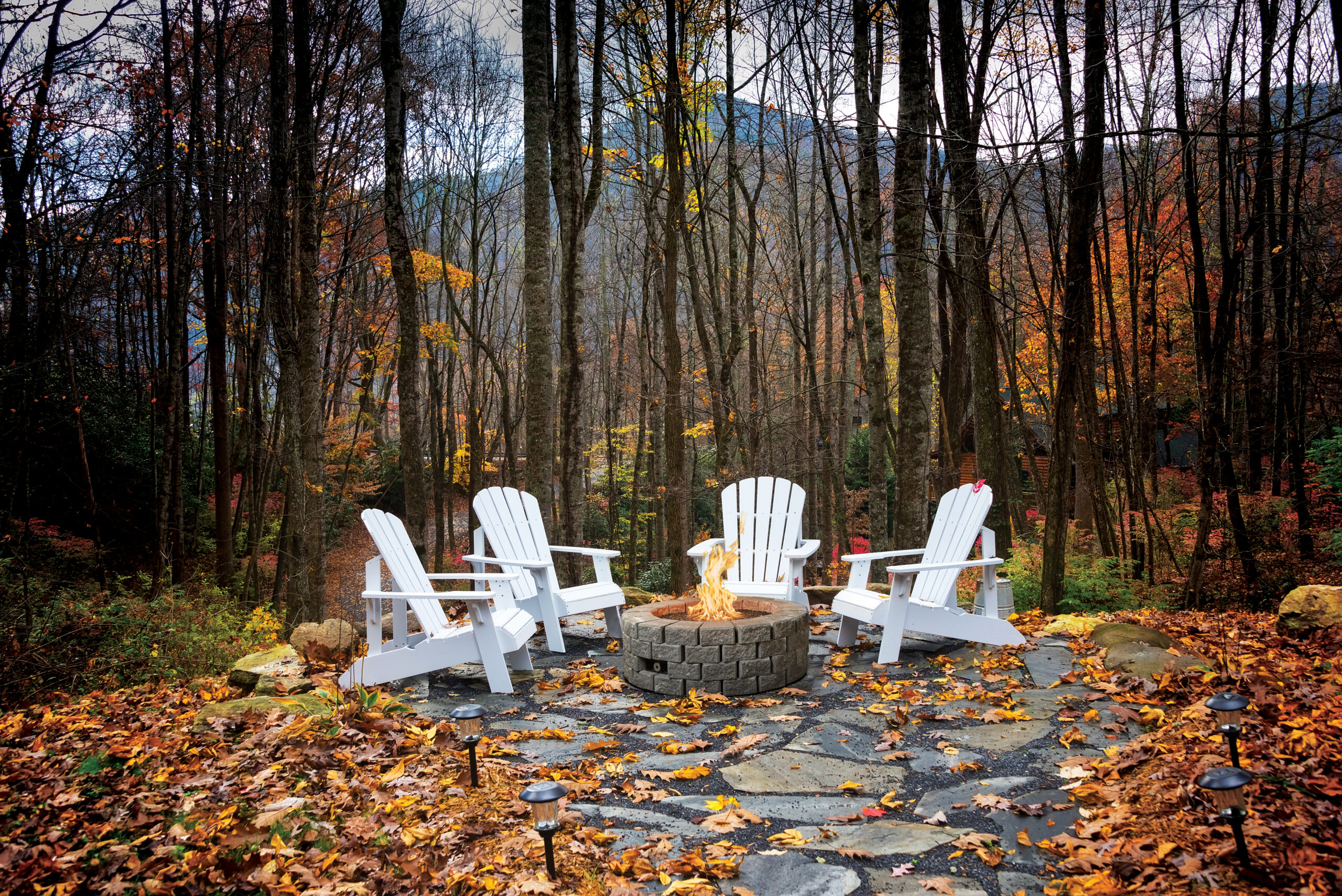 Fire Garden - Voracious Firepit Burners - Image 3